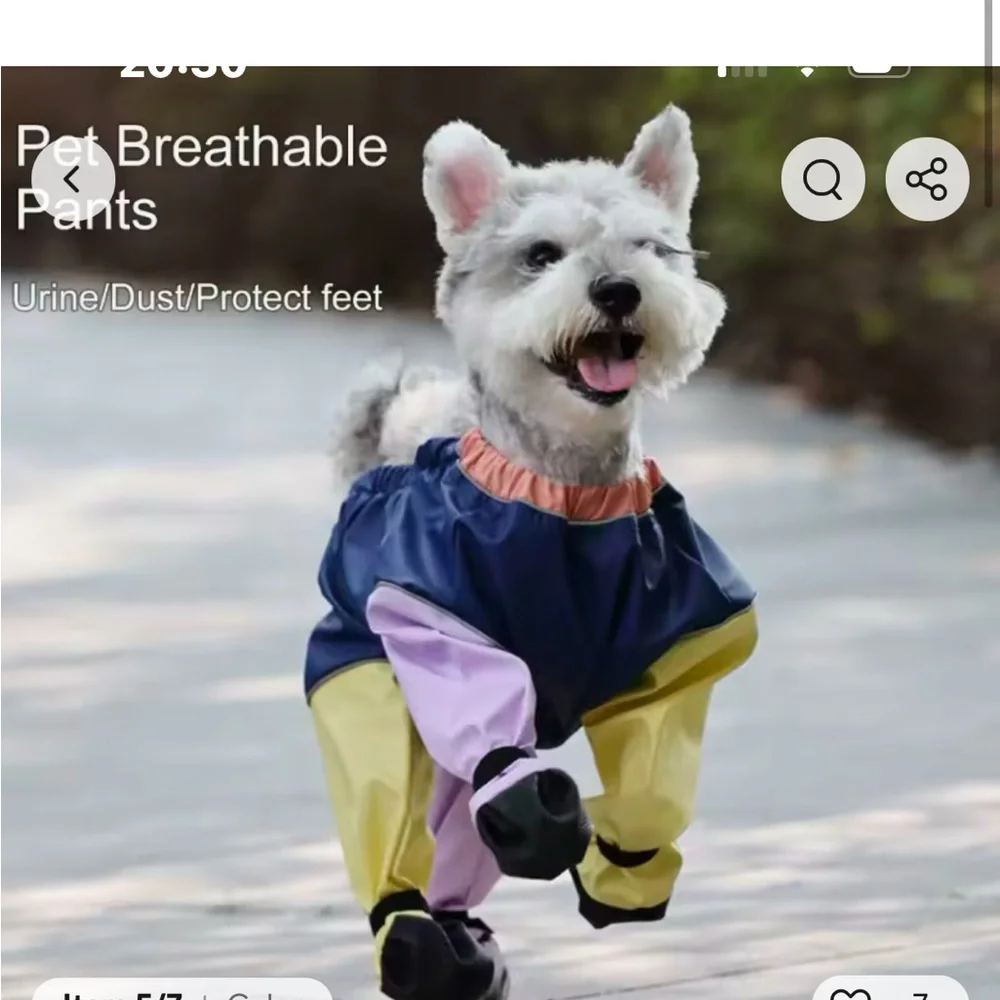 Colorful Dog Raincoat with Booties - Picture 2 of 9